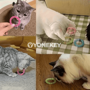 Pişik üçin bökýän oýnawaç donat şekilli, jaňly