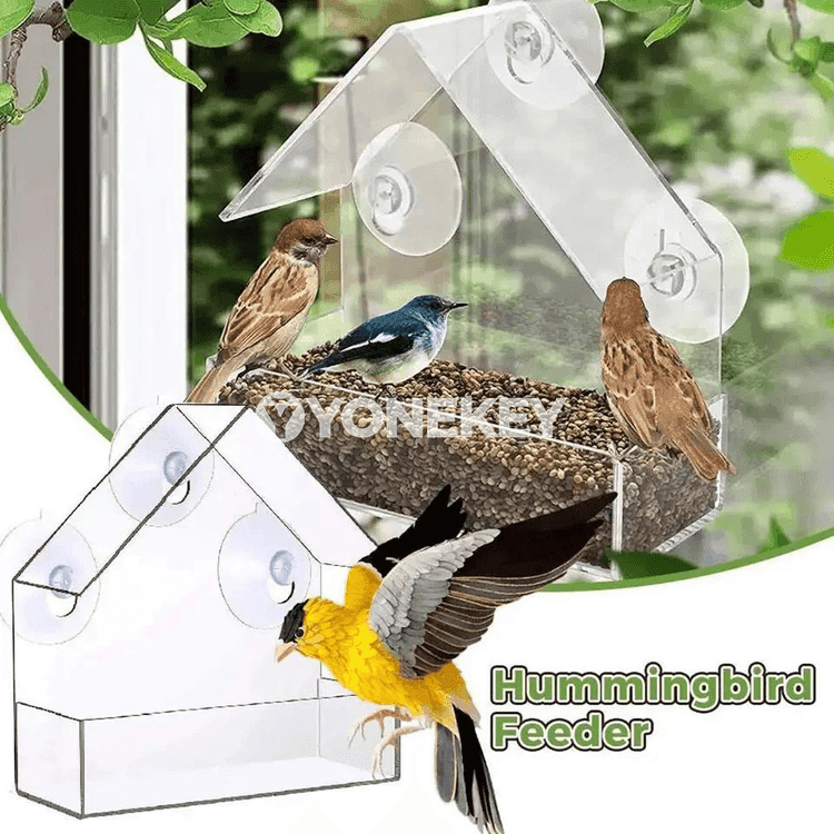 Aýna penjireli guş öýjügi – açyk howa üçin guş iýmitlendiriji