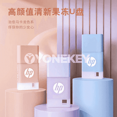 Universal HP USB fleşka.