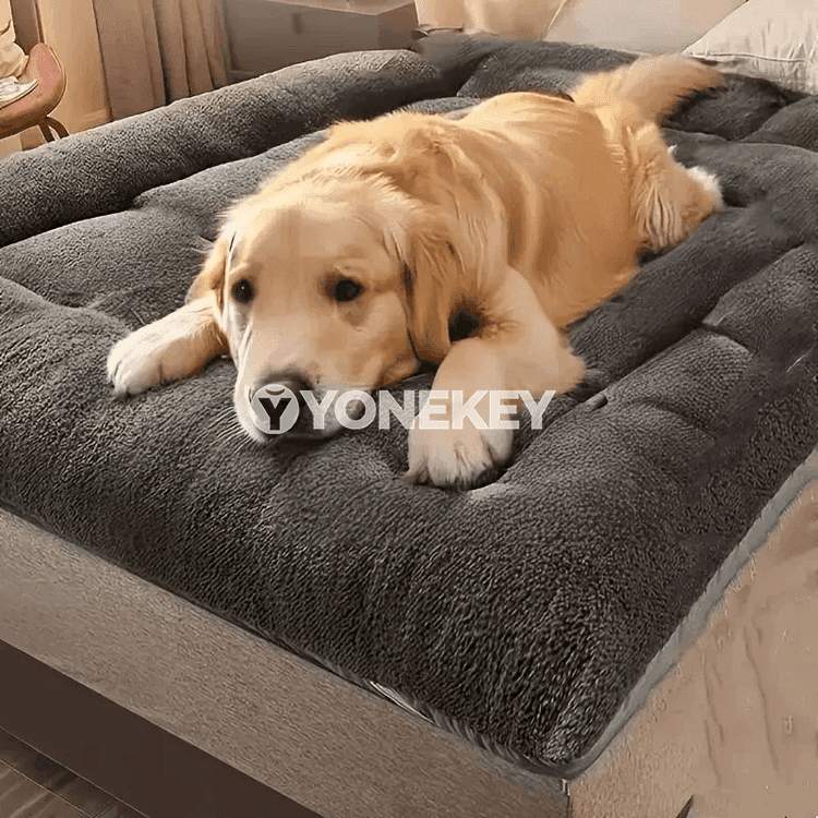 Uly ýumşak it düşegi — ýyly, rahat we ýuwulýan öý ýatağı