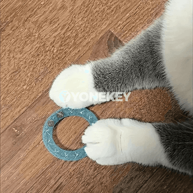 Pişik üçin bökýän oýnawaç donat şekilli, jaňly