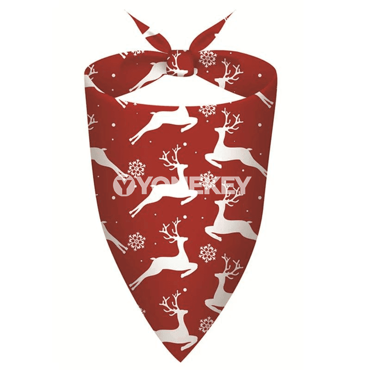 It we pişikler üçin baýramçylyk boýun ýaglygy