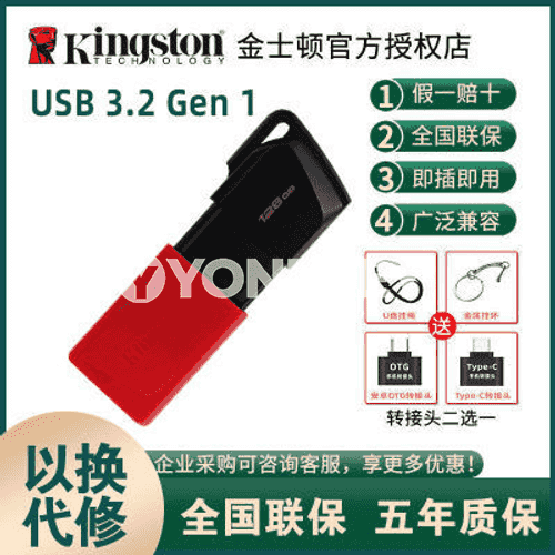 Kingston USB fleşka 