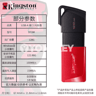 Kingston USB fleşka 