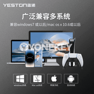 “Yeston SSD” ykjam gaty diski