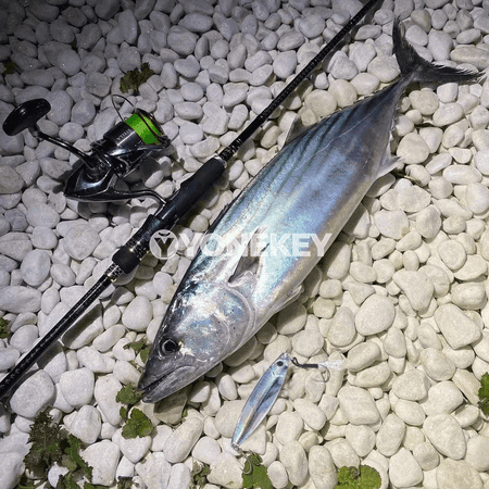 Metal jig balyk öýkünmesi 30g/40g/60g, uzaaga zyňylýan önüm