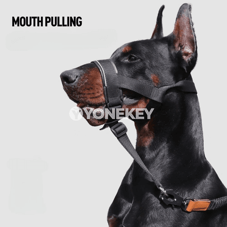 Itler üçin dem alýan gorag maskasy, dişlemegi azaltýan muzzle