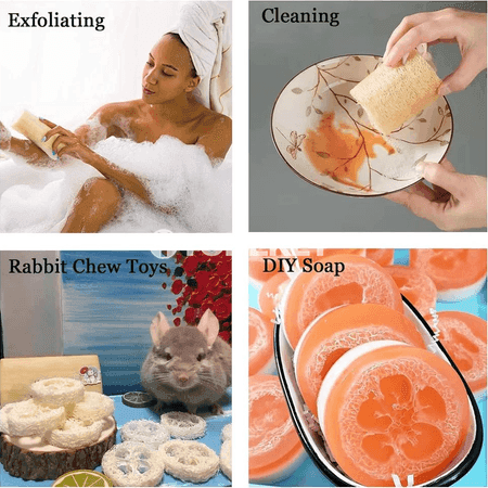 3 sany tebigy loofah beden ýuwujy gubka toplumy