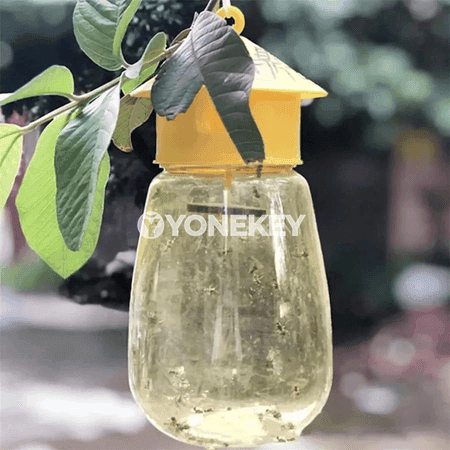 Miwe çybyny tutujy plastmassa duzak — bag we öý üçin