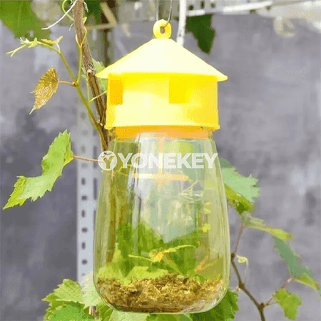 Miwe çybyny tutujy plastmassa duzak — bag we öý üçin