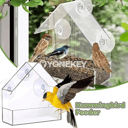 Aýna penjireli guş öýjügi – açyk howa üçin guş iýmitlendiriji