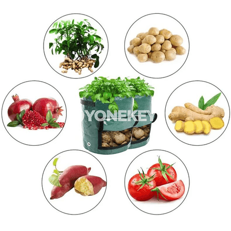 Kartoşka ekmek sumkasy, bag üçin 3 gallon ösümlik ösdürmek haltasy