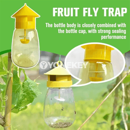 Miwe çybyny tutujy plastmassa duzak — bag we öý üçin