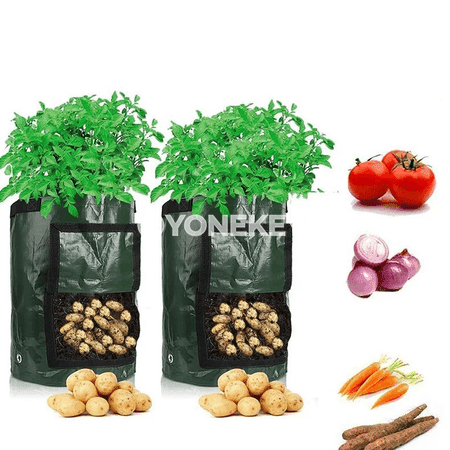 Kartoşka ekmek sumkasy, bag üçin 3 gallon ösümlik ösdürmek haltasy