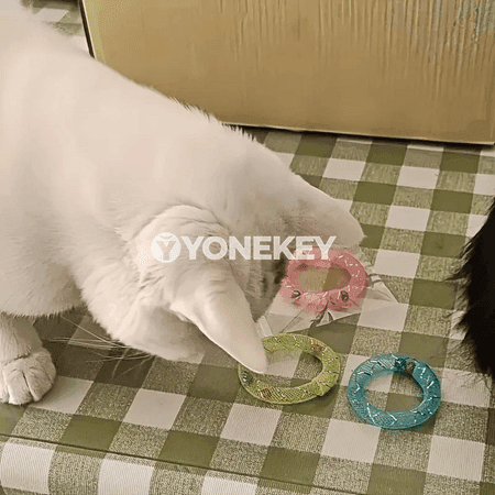 Pişik üçin bökýän oýnawaç donat şekilli, jaňly