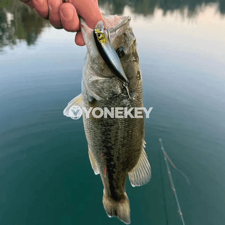 Çümýän minnow bait 4.5g, 5.3 sm, güýçli ulgamly balykçyk bait