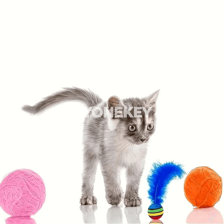 Reňkli EVA topjykly pişik we öý haýwanlary üçin oýunjak toplumy