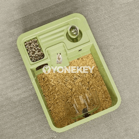 Hamster üçin uly, çydamly, ýokarky açylýan ýaşaýyş jaýy