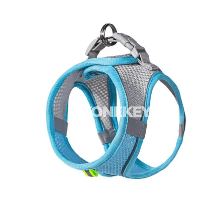 Kiçi itler üçin sazlanýan ýüpli harness we guşak toplumy