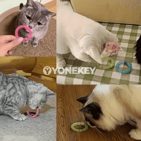 Pişik üçin bökýän oýnawaç donat şekilli, jaňly