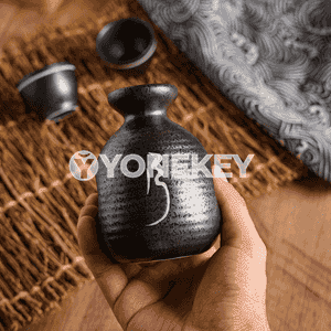 Keramiki çakyr üçin toplum