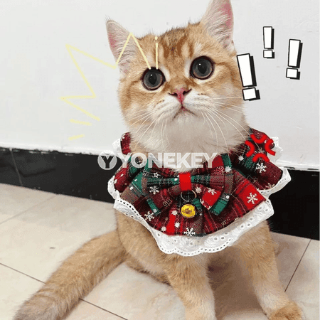 Täze Täze ýyl pişik ýakasy jaňly — ownuk itler üçin ýumşak bandana