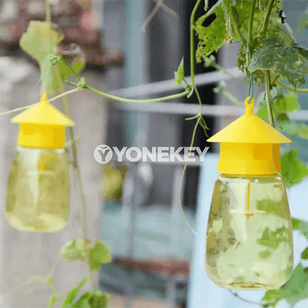 Miwe çybyny tutujy plastmassa duzak — bag we öý üçin