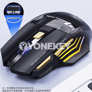 Kompýuterler üçin USB simli we simsiz syçanjyk.