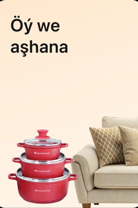 Öý we Aşhana