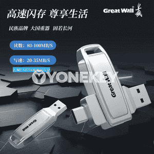 Great Wall u diski.