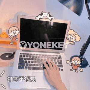 Notebook üçin goýulýan stol esbap 