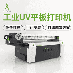 2513 Ricoh G5/G6 UV tekiz printer
