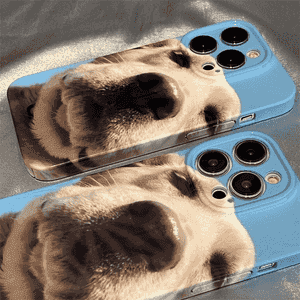 iPhone modelli telefonlar üçin çehol.