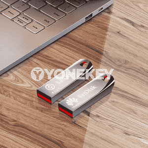 SanDisk U Diski.