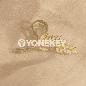 Gyzlar üçin saç aksesuarlary