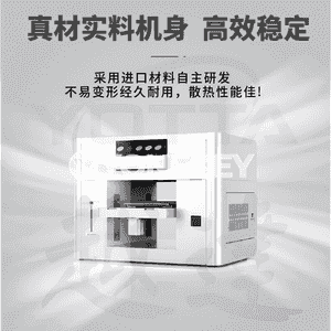  3D lakly kiçijik dyrnak çipi UV tekiz printer