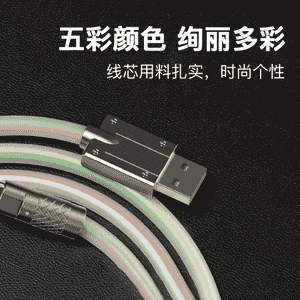 Telefonlar  üçin ýöriteleşdirilen älemgoşar Type-C, USB 