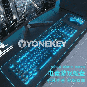 Kompýuterler üçin simli klawiatura we syçanjyk.
