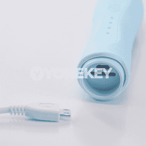 Elektrik diş arassalaýjy