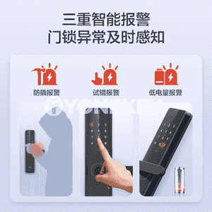 Haier elektron akylly gapy gulpy