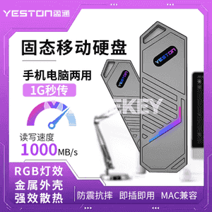 “Yeston SSD” ykjam gaty diski