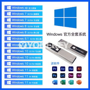 Windows ulgam U disk.