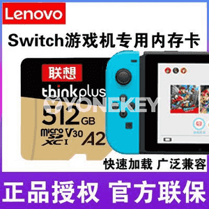 Lenovo ýat kartasy.
