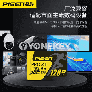 Universal Pinsheng ýat kartasy. 