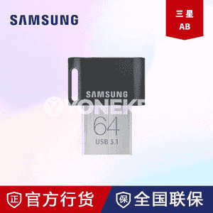 Samsung FitPlus mini U disk.