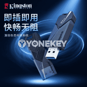 Kingston USB fleşka. 