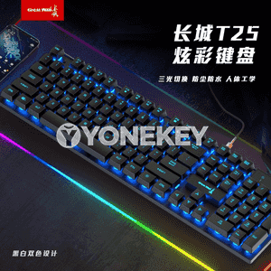 “Great Wall T25” simli klawiatura we syçanjygy.