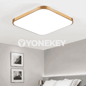 Öý üçin niýetlenen potolok led çyralar 
