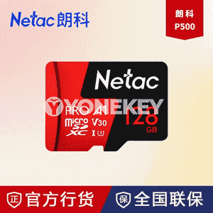Netac SD kart.