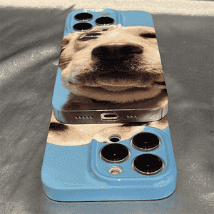 iPhone modelli telefonlar üçin çehol.